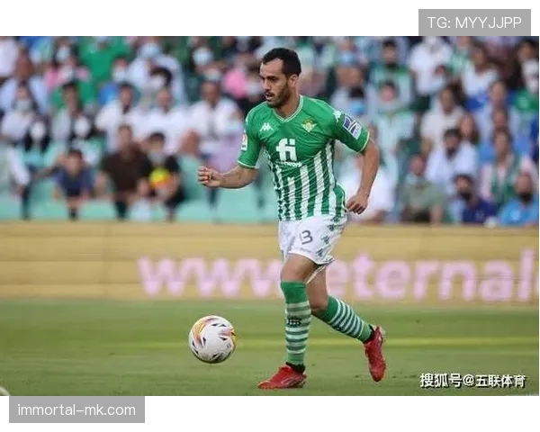 韦阿技术全面性持续提升,进攻端表现稳健 韦阿技术全面性持续提升,进攻端表现稳健